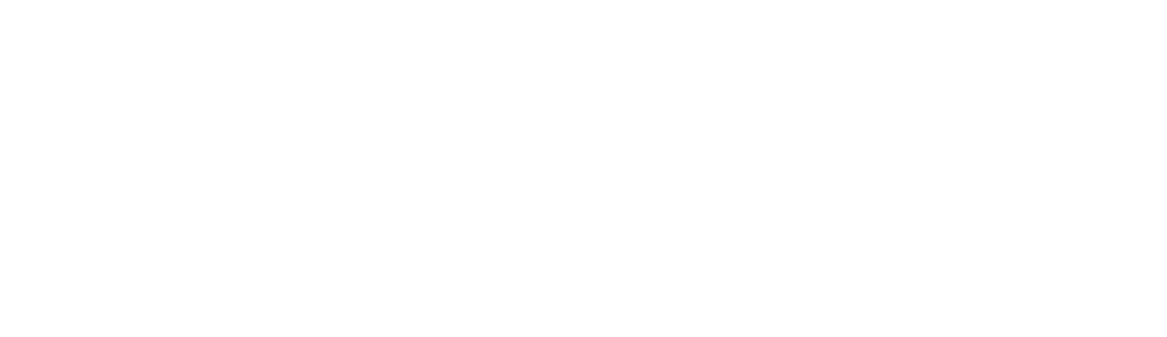 Zinlio